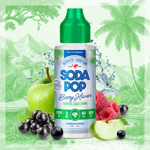 Berry Heaven Soda Pop 100 ml