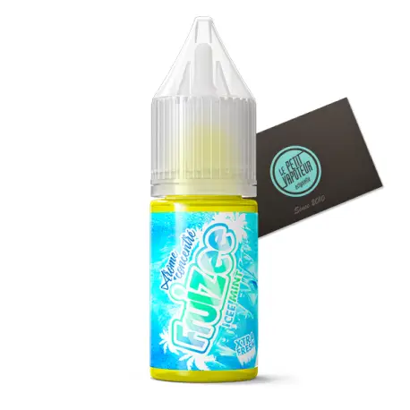 Concentré Icee Mint Fruizee