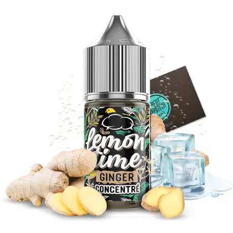 Concentré Ginger Lemon'Time 30 ml