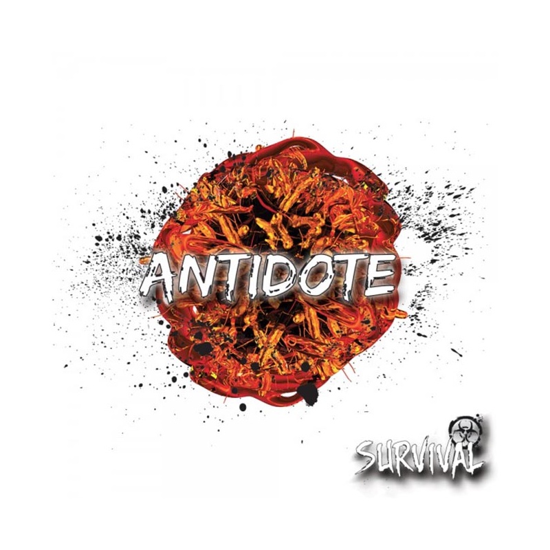 blog le petit vapoteur