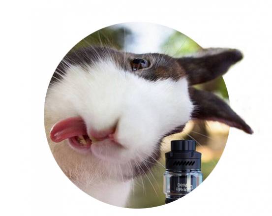 Avis sur l'atomiseur Dead Rabbit 3 RTA de Hellvape | Blog Le Petit Vapoteur
