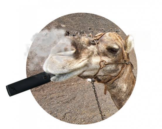 Vapoter zen en été : conseils de vapoteur