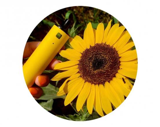 Découvrez la First Summer Edition, la e-cigarette de l’été !