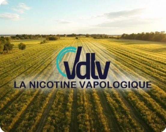  La nicotine vapologique de VDLV