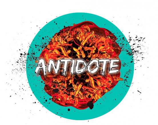 Le DIY du mois : Antidote de Survival