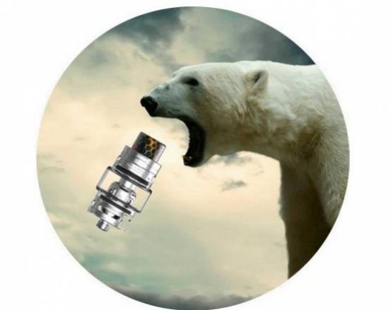 Avant première : TFV12 Baby Prince