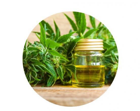 Hospitalisations, un décès aux USA et huiles de THC : tout ne peut se vaper ! 