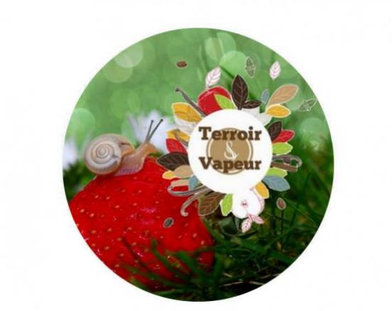 Zoom sur les fruités Terroir et Vapeur