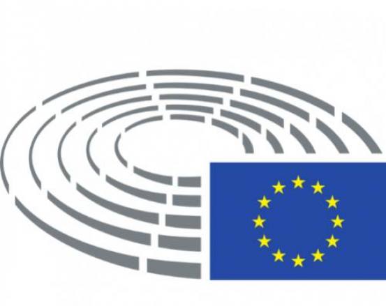 Parlement Européen : notre avis sur le dernier rapport 